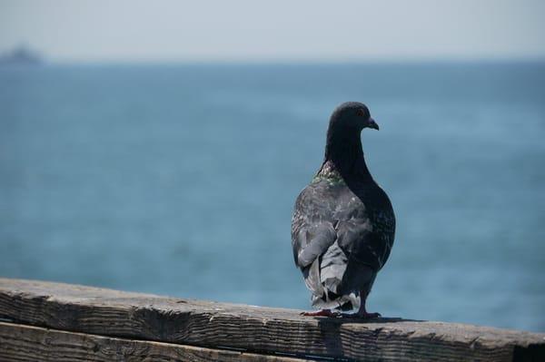 Photo of Megan M.
