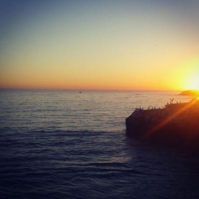 photo of DespicableYou J.