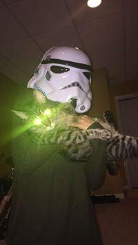 photo of Elisabeth G.