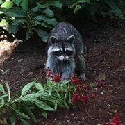 photo of Michelle D.