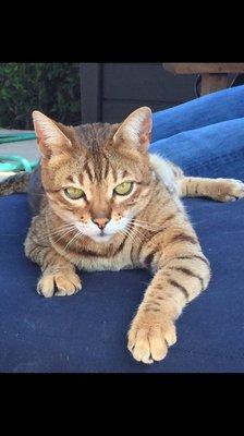 photo of Graziela F.