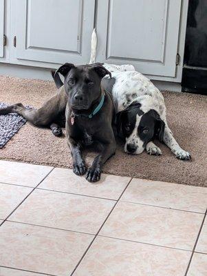 photo of Jennifer M.