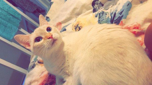 photo of Isabella R.