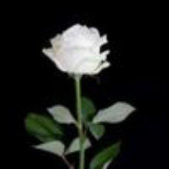 photo of Christian Jay G.