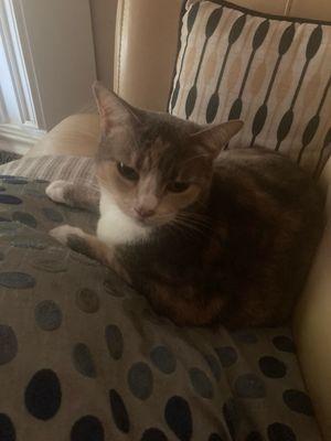 photo of Arabella L.