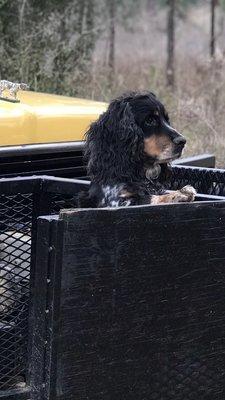 photo of Elizabeth H.