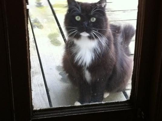 photo of GoodorBad N.