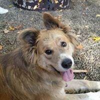 photo of Michaela B.