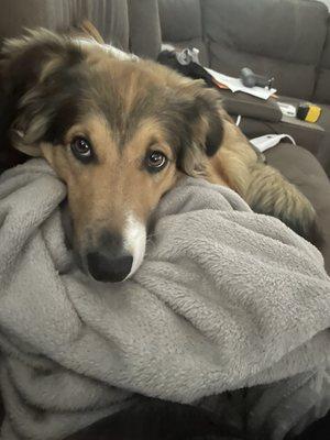 photo of Elizabeth R.