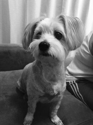 Photo of Ruby V.