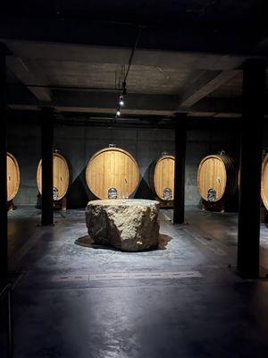 photo of Veronica J.