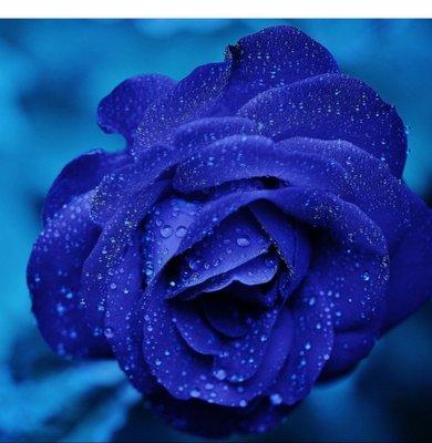 photo of Michelle G.