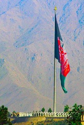 photo of Electric C.