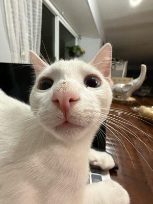 photo of Valentina F.