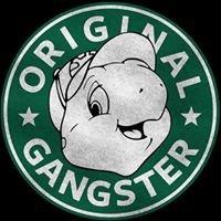 Photo of Cristian C.