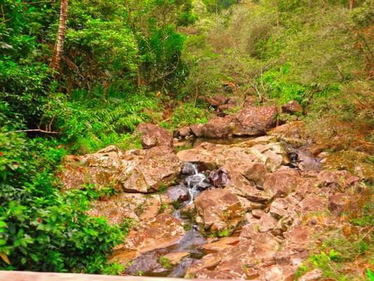 photo of Shailesh D.