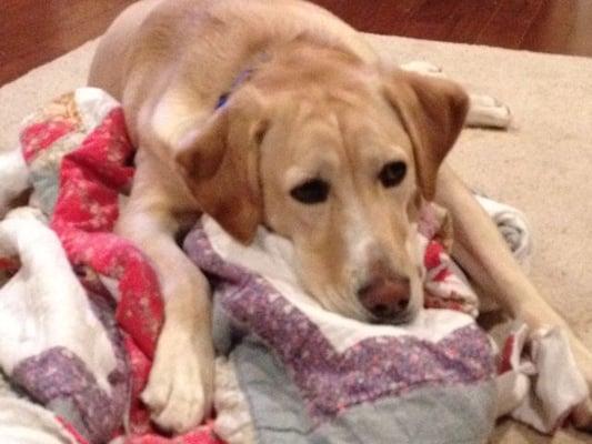 photo of Flipflop M.