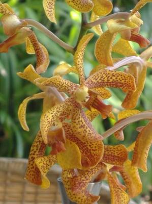 photo of danielle h.