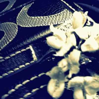 photo of Akanksha S.