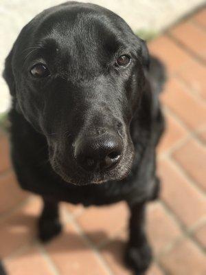 Photo of Cindy G.