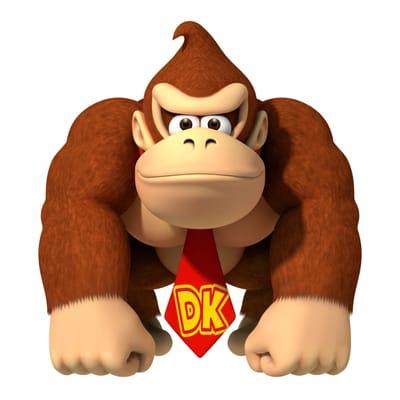 Photo of Donkey K.