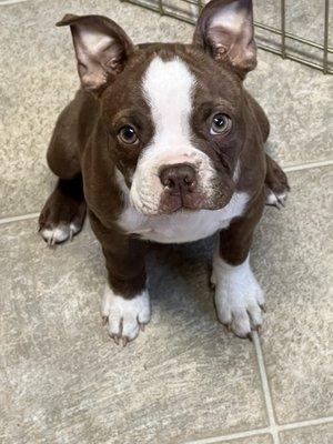 Photo of Miranda B ..