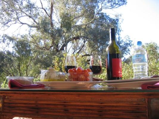 photo of Shoshana D.