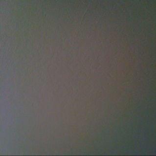 photo of Violette B.