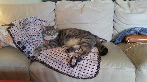 Photo of Lilith M.