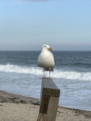 Photo of Melissa L.