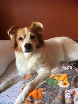 photo of Mary Ann G.