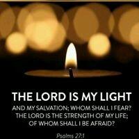 photo of Cocoroses D.