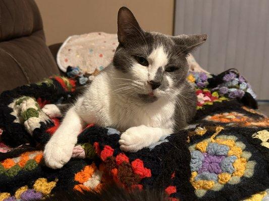 photo of Michelle W.