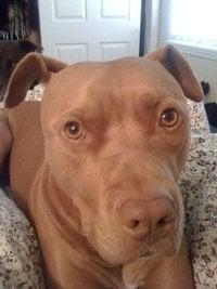 photo of samantha p.