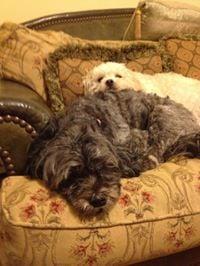 Photo of Michelle F.