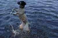 photo of Kathleen H.