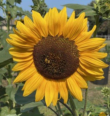 photo of Brittany N.