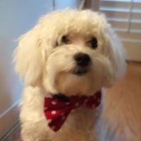 photo of Mary Lou R.