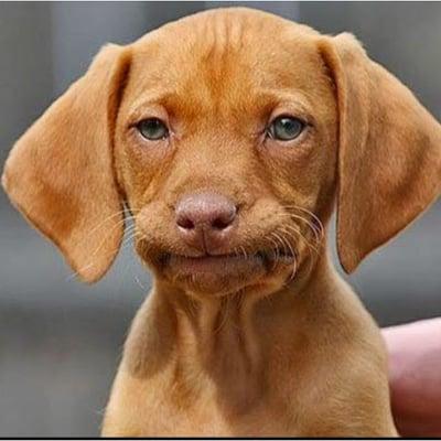 photo of Margaret R.