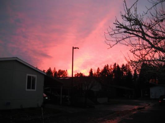 Photo of WendizzAl A.