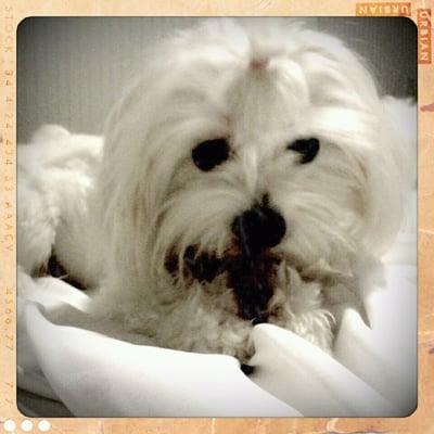 photo of Michelle S.