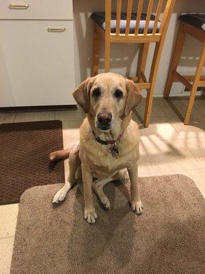 photo of Juliette G.