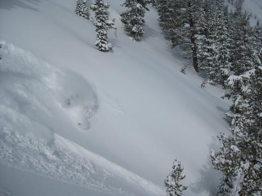 Photo of Brendan M.