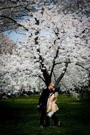Photo of Abigail T.