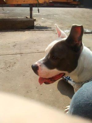 photo of Jean-Luc M.