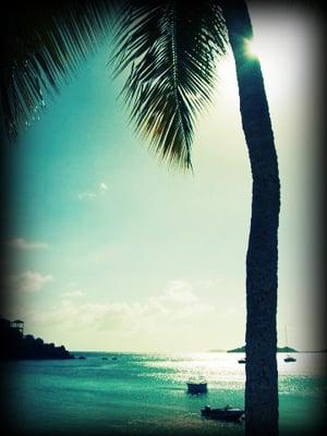 Photo of Linny K.