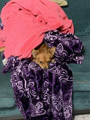 photo of Guadalupe F.