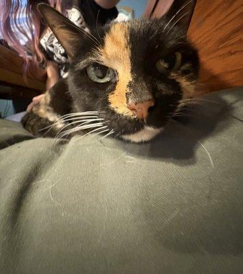 Photo of Darla D.