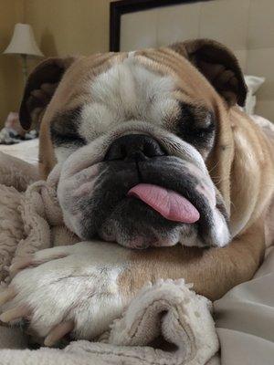 photo of Danielle L.