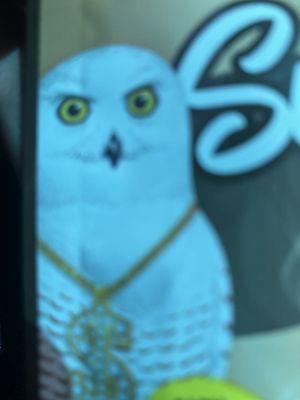 Photo of Alejandro M.